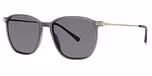 Slate / polarized