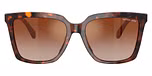 Luggage Tortoise / Tortoise / Brown Gradient Mirror Red