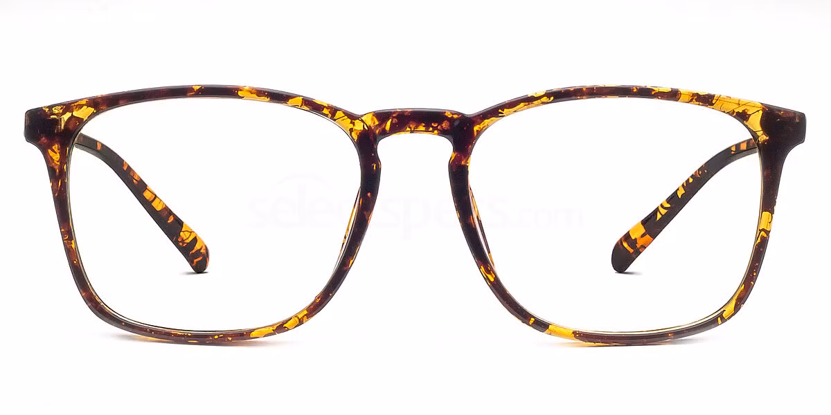 2396 - Tortoise
