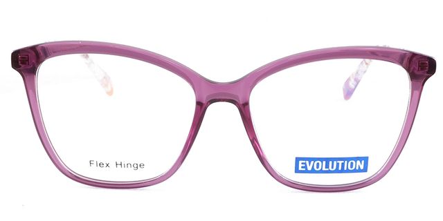 Evolution - EV1113