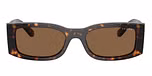 Dark Havana / Brown / Dark Brown