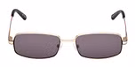 Matte Pale Gold / Matte Pale Gold / smoke