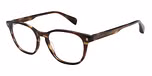GLOSS CRYSTAL BROWN HORN