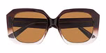 Dominant Dark Brown / Brown Lenses