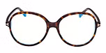 DARK HAVANA / DARK HAVANA