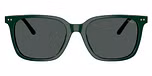 Shiny Green / Dark Grey