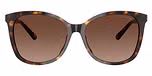Dark Tortoise / Dark Brown Gradient Polarized