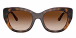 Top Dark Havana/Light Brown / Brown / Gradient Brown
