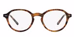 Shiny Jerry Havana