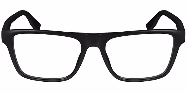 Lacoste - L2951
