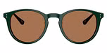 Solid Green / Dark Brown