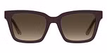 VIOLET (BROWN SHADED GRADIENT)