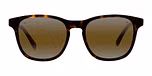Tortoise / Skilynx