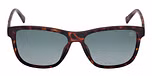 DARK HAVANA / DARK HAVANA / GRADIENT SMOKE / POLARIZED