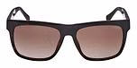 DARK HAVANA / DARK HAVANA / GRADIENT BROWN