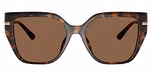 Dark Tortoise / Dark Brown Solid