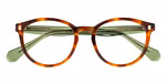 Dominant Light Brown / Grey lenses