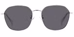 PALLADIUM (GREY POLARIZED)