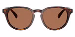 Shiny Brown Tortoise / Dark Brown