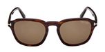 DARK HAVANA / BROWN POLARIZED