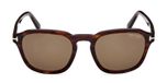 dark havana / brown polarized