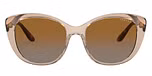 Transparent Caramel / Brown / Polarized Brown Gradient