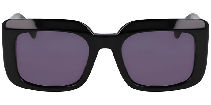 LONGCHAMP Sunglasses. Free Delivery - SelectSpecs