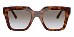 Brown Havana / Brown / Grey Gradient