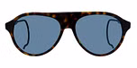 Tortoise / Blue Polar / Polarized