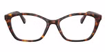 Havana / Tortoise