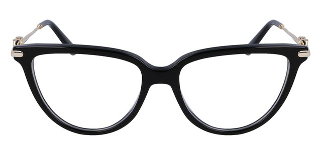 Salvatore ferragamo hot sale glasses