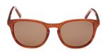 light brown/other / brown polarized