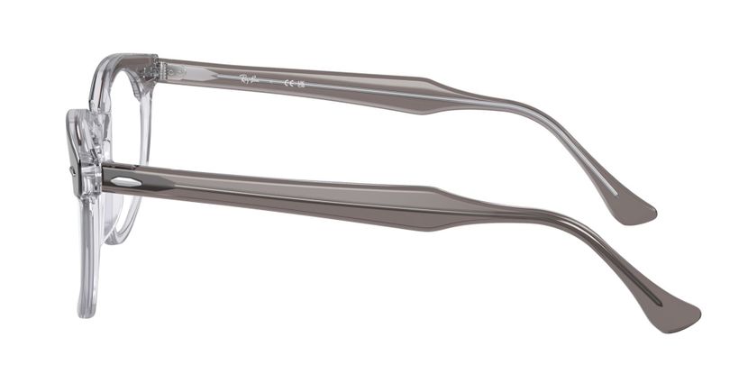 Ray-Ban RX5598 - Eagleeye