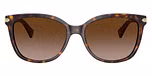 Dark Tortoise / Dark Brown Gradient