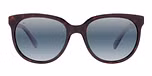 Tortoise - Blue Polarlynx / Polarized