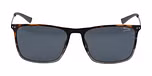 BLUISH BROWN / Polarized
