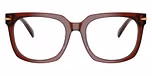Brown Transparent