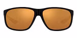 Shiny Black / Brown Mirror Gold