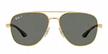 ARISTA / havana / polarized green