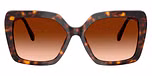 Havana / Tortoise / Gradient Brown