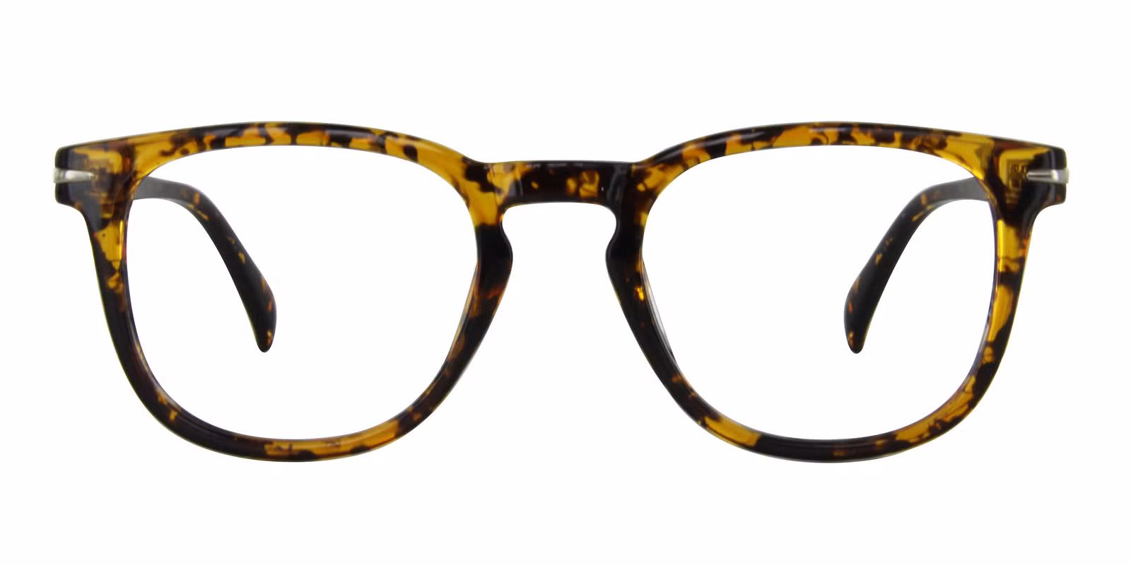 PC28031 - Tortoise