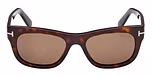 Dark Havana / Dark Havana / brown polarized