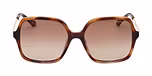 BLONDE HAVANA / BROWN POLARIZED