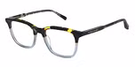 TORTOISESHELL