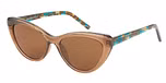 Brown / Brown Lens
