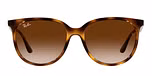 HAVANA / havana / gradient brown