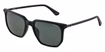 MATT/SANDBLASTED BLACK / GREEN / POLARIZED