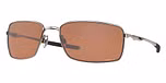 TUNGSTEN / brown / prizm tungsten polarized