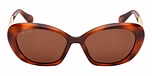 DARK HAVANA / SHINY PALE GOLD / BROWN