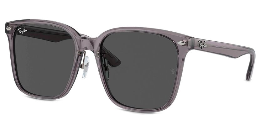 Ray-Ban RB2206D